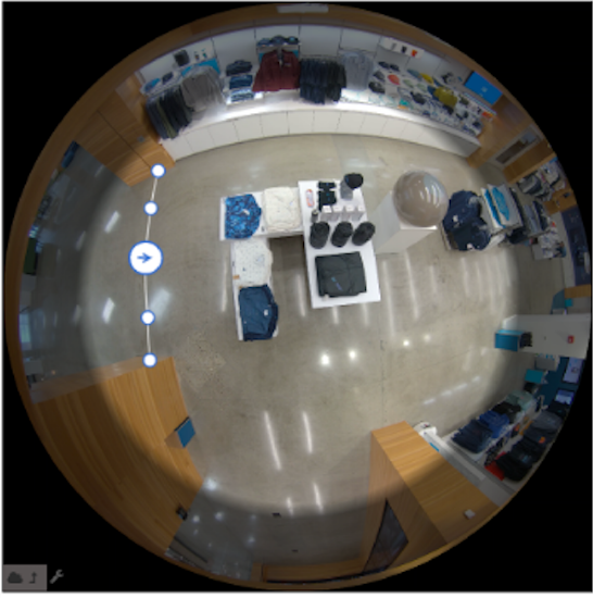 Line crossing tripwire on fisheye camera view